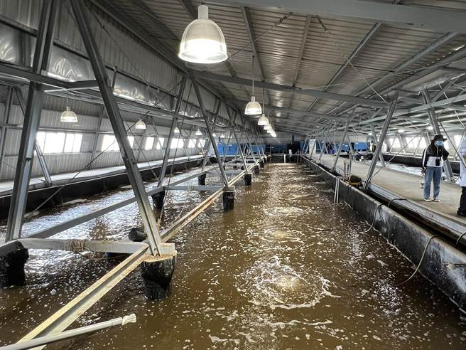 台南北門區三寮灣參觀「智慧漁電共生溫室大棚及養殖數位分身示範基地」由雲豹能源、台鹽綠能、資策會、新漢、富碩國際、國立海洋大學、Microsoft等產官學單位共同建立。(台南市經發局提供／劉秀芬台南傳真)