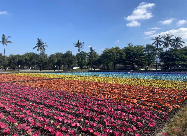 屏东季节限定凤梨彩绘田，成了民眾口耳相传新兴打卡点。（屏县府提供／林和生屏东传真）