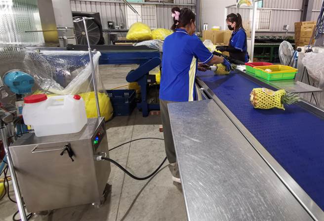 農改場研發的鳳梨切口蒸汽殺菌機以水為材料，可自動補水，0.5秒高溫殺菌。（劉秀芬攝）
