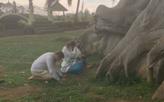 女网红后来在神树下跪拜求原谅。（图／Alina_yogi IG）