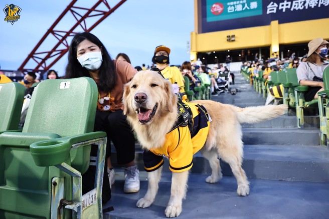 中信兄弟「洲際有ㄍㄨㄢˋㄍㄨㄢˋ」主題日。（中信兄弟提供）