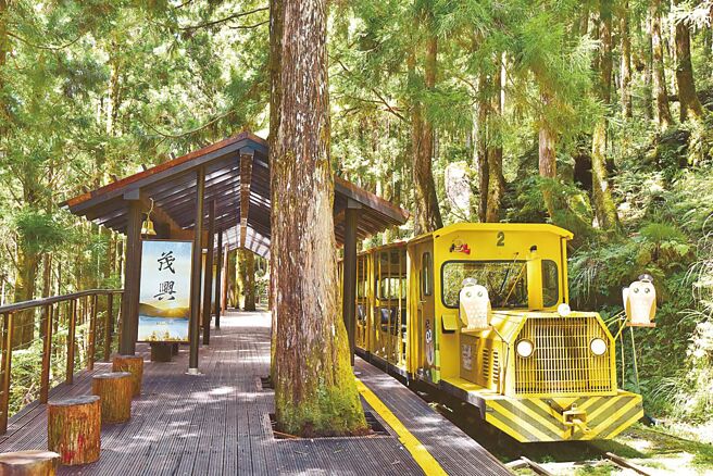 （羅東林管處提供）