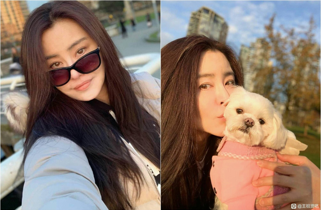 王祖贤在母亲节送上祝福，拉「挚爱」狗狗入镜格外抢镜。(取材自王祖贤joey wong脸书)