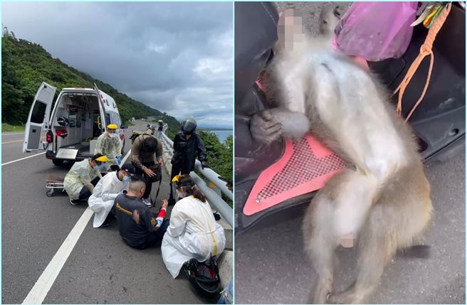 南迴台9线7日发生「死亡」车祸，一辆重机撞上猕猴，猴死人伤。（记者爆料网）