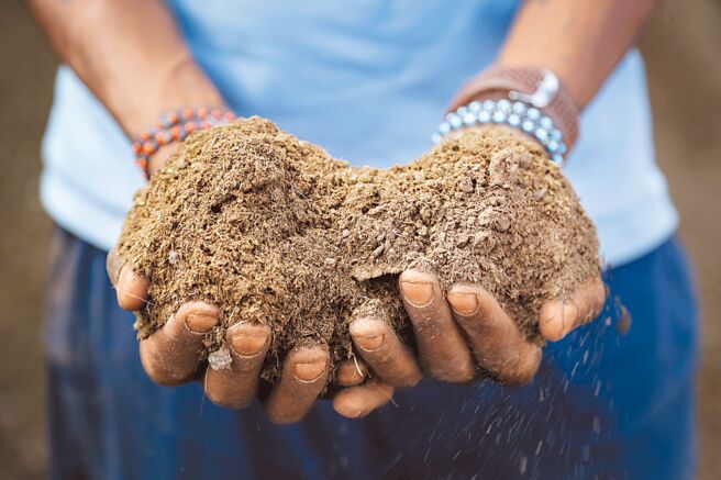 动物粪肥爆红变黄金图╱美联社