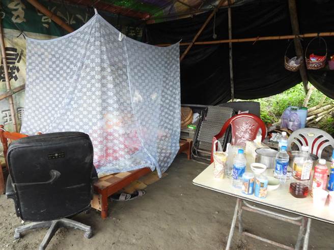 花莲瓜农为了守护西瓜，每逢产季，日夜都住在瓜田旁由铁皮搭建的简陋瓜寮内，睡在挂有蚊帐的木板床上。（罗亦晽摄）