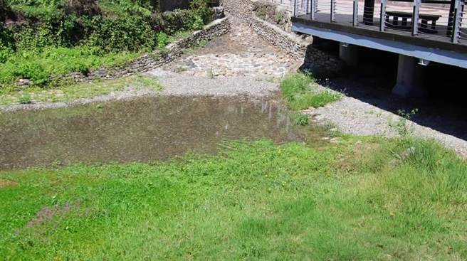 龍巖冽泉經過去年整治，逐步生機盎然的景象。（高市觀光局提供）