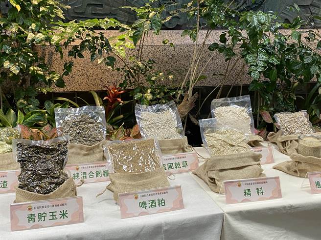 農委會自99年就開始進行糙米、甘藷格外品、農副產物等飼養價值研究，做為取代進口玉米的替代飼料原料，近年也積極推動休耕地種植國產牧草，預期在政策鼓勵下，最高能提供86％國內牧草需要量。（李柏澔攝）