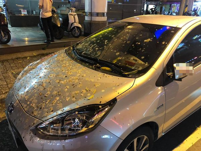 有网友拍下某停车格内有辆共享汽车沾满鸟屎，也让其他网友笑歪「像集体拉肚子」。（翻摄自脸书爆料公社）