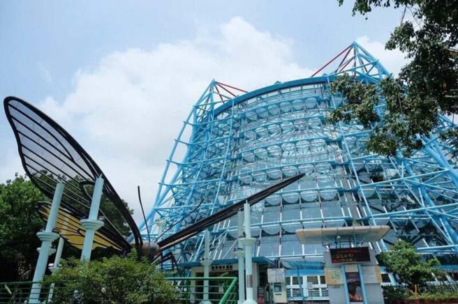 【台中景点】IG热搜台中一日游景点！情侣约会 亲子同乐好去处 (图片／ReadyGo提供)