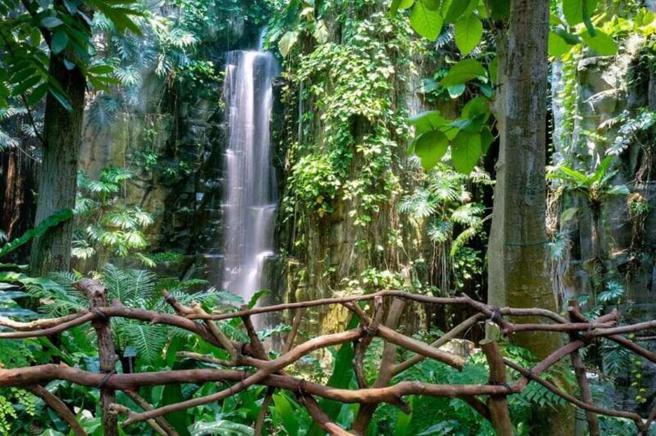 【台中景点】IG热搜台中一日游景点！情侣约会 亲子同乐好去处 (图片／ReadyGo提供)