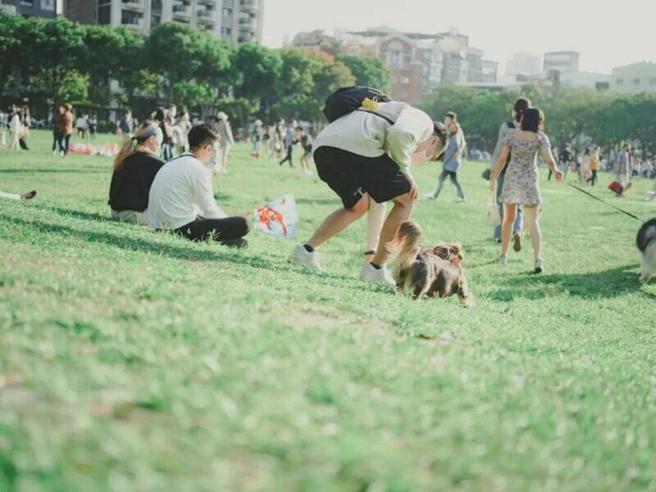 【台中景点】IG热搜台中一日游景点！情侣约会 亲子同乐好去处 (图片／ReadyGo提供)