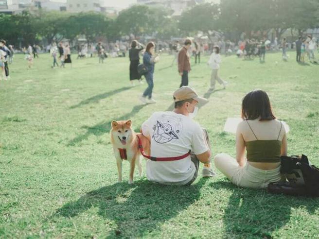 【台中景点】IG热搜台中一日游景点！情侣约会 亲子同乐好去处 (图片／ReadyGo提供)