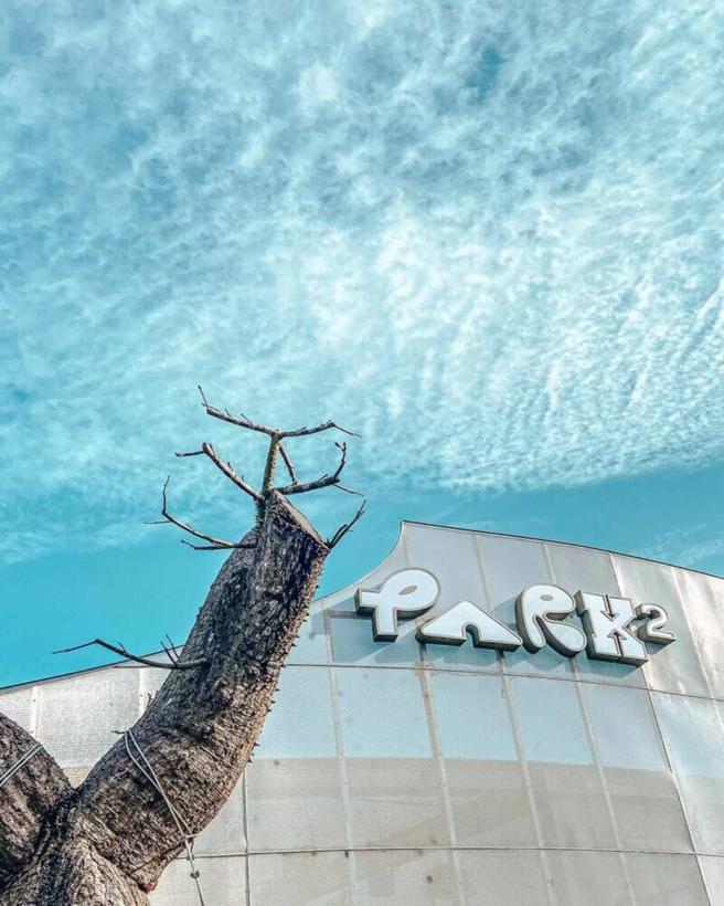 【台中景点】IG热搜台中一日游景点！情侣约会 亲子同乐好去处 (图片／ReadyGo提供)