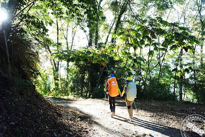 大鹿林道东线试办开放脚踏车 大小霸尖山群峰更亲人。(图/旅游经提供)