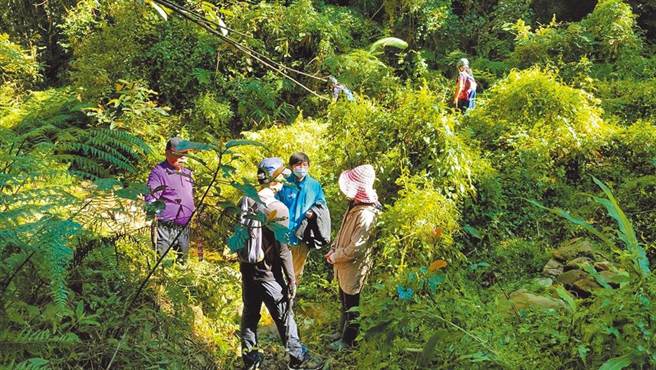 今年元月发生在南投县埔里镇卧龙洞古道离奇3尸命案，民眾在古道边坡发现范姜姓男子遗体后，与范姜同行的情侣檔郭姓男子、王姓女子，也在距范姜约200公尺的树林内被发现遗体。（本报资料照片）