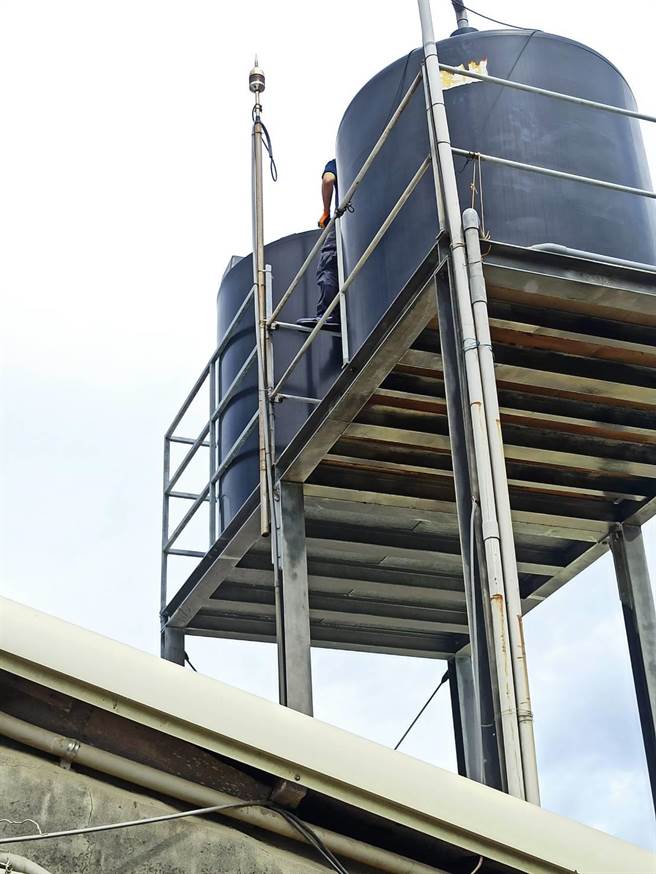 清晨风雨交加，避雷针没装好，芳苑养猪场，猪只集体被电毙。（芳苑乡公所提供／吴敏菁彰化传真）