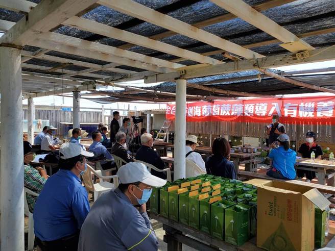 该协会以澎湖湖西白坑养殖场为基地，施行友善养殖、有机转型认证之推动，获得采园有机验证机构审验，获颁进入有机转型期证书，正式导入有机养殖法之列，也是全台湾第一家水产品纳入有机范畴。（柯宗纬翻摄）