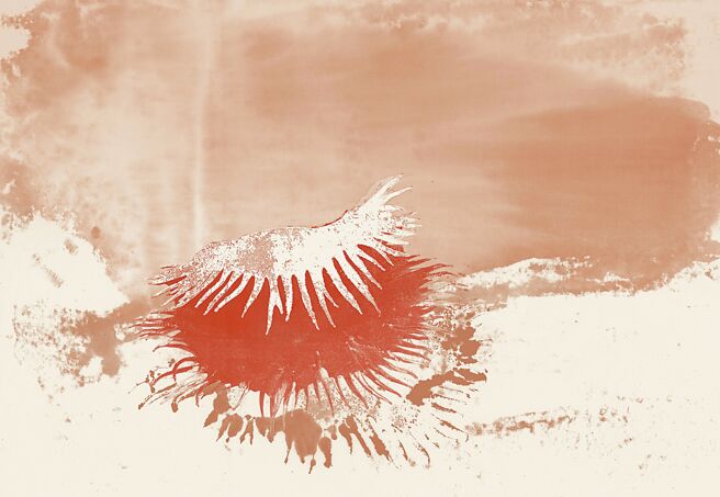 Aurore de la Morinerie插畫作品。（LV提供）