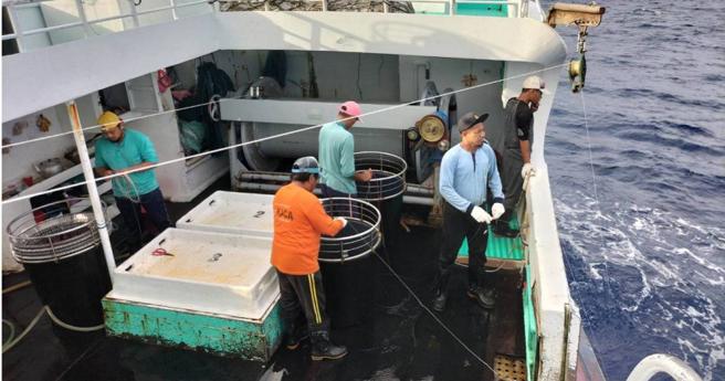 出海捕魚普遍面臨工時長、危險性高等問題，大部分台灣人都不願上船工作，為了補足勞動缺口，只能引進大量外籍漁工。(圖／台灣鮪延繩釣協會提供)