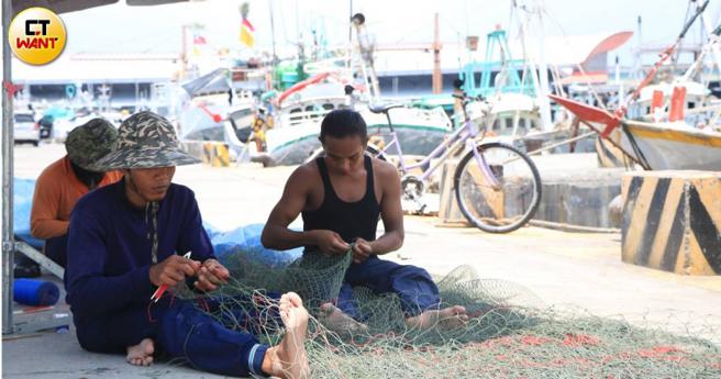 台灣本土疫情急遽升溫，引進移工幾乎停頓，大量依賴外籍漁工的台灣漁業只能望洋興嘆，在港邊「補破網」幾乎已成日常工作。(圖／張進安攝)