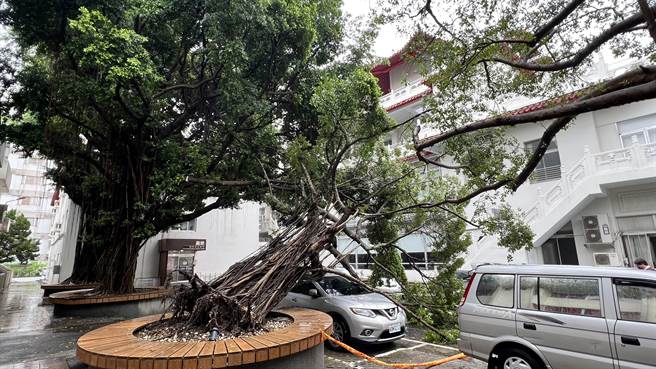 幸好倒塌時並沒有民眾經過，沒有人員受傷。（張毓翎攝）
