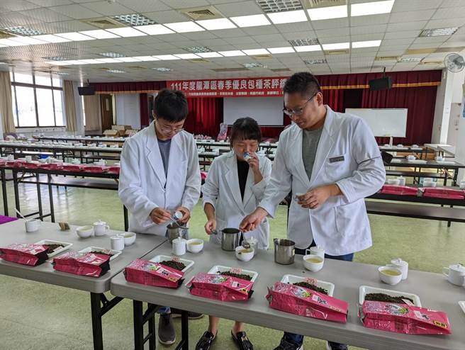 桃園市龍潭區農會舉辦春季龍泉烏龍茶評鑑競賽，鼓勵茶農精進品質。（呂筱蟬攝）