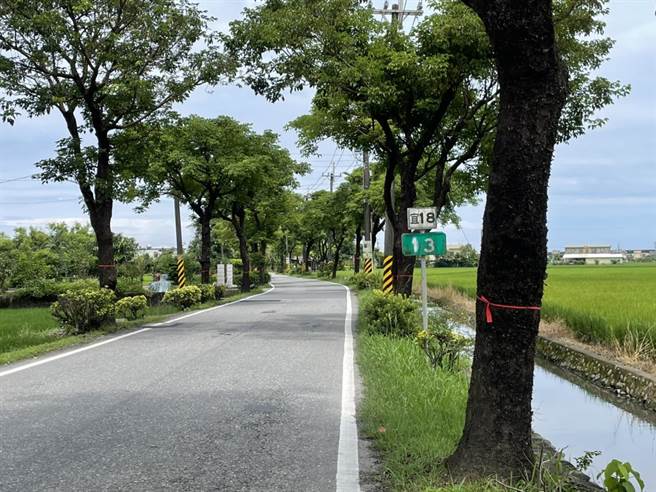 鄉道宜18線為宜蘭市到壯圍鄉東西向的重要道路，因路幅狹小、單線雙向、會車不易，易釀交通事故。（吳佩蓉攝）