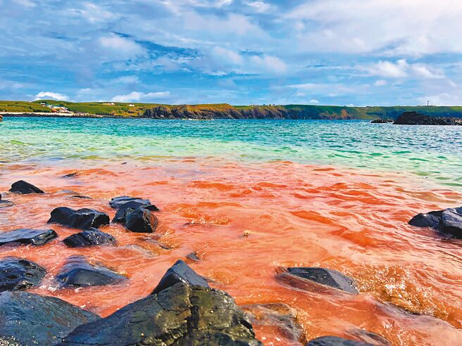 七美卧牛海边迎来今年第一波红潮，是珊瑚产子的繁殖现象，红潮来时也预告澎湖观光季正式揭开序幕。（七美乡公所提供／张茂雄澎湖传真）