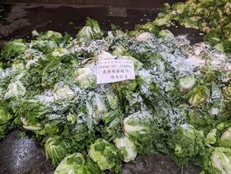 抽檢輸入北農蔬果 46公斤芹菜竟違法殘留4項農藥