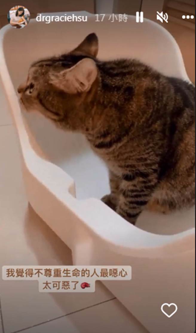 许蓝方被酸与爱猫对话噁心，动怒反击网友。（drgraciehsu IG）