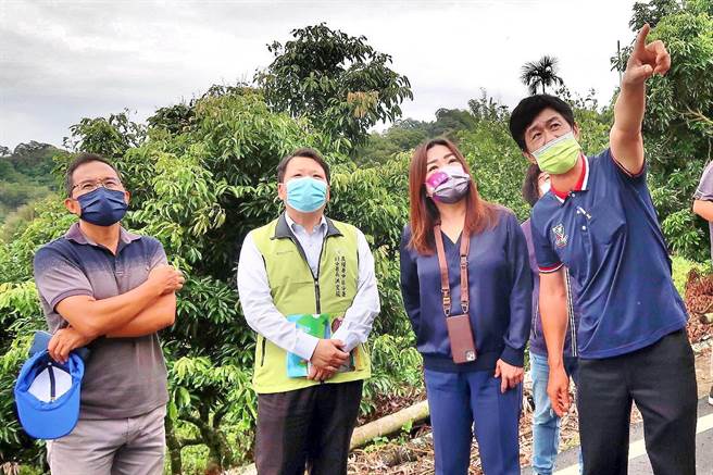 中寮乡荔枝、龙眼因气候异常结果率差，立委马文君（右二）13日邀农业专家会勘。（马文君服务处提供／廖志晃南投传真）