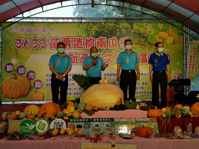 造桥乡农会推广南瓜多年有成，南瓜季今年已迈入第14年。（谢明俊摄）