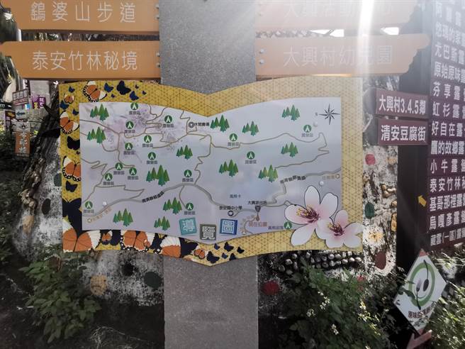 苗栗县政府与泰安乡公所合办原乡马拉松，将从泰雅文化园区出发，路线行经竹林秘境。（谢明俊摄）