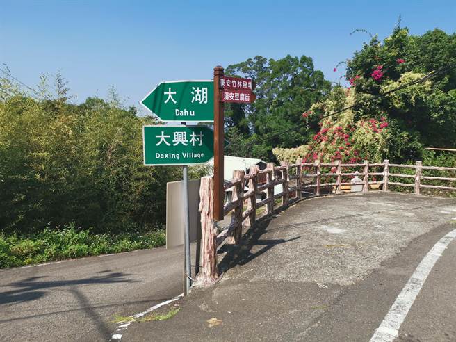 苗栗县政府与泰安乡公所合办原乡马拉松，将从泰雅文化园区出发，路线行经竹林秘境。（谢明俊摄）