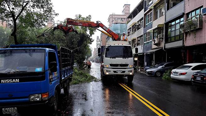 工务局养工处清除路树。（翻摄照片／崔正纲高雄传真）