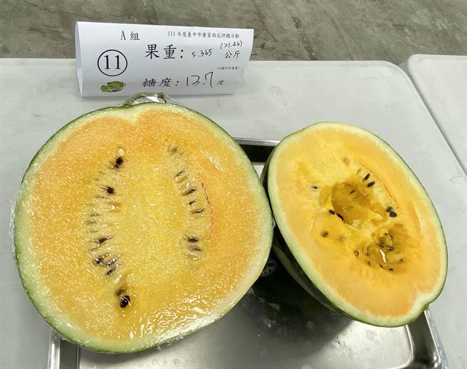台中西瓜栽种品种以新兰小玉西瓜为主，迈入第一期盛产季，今年天候适合、品质相当优良。（陈淑芬摄）