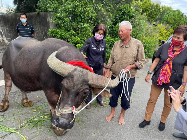 即将离别之际，水牛不断甩头，疑似拒绝上车，让老农万般不舍。(图／姜梅红脸书)