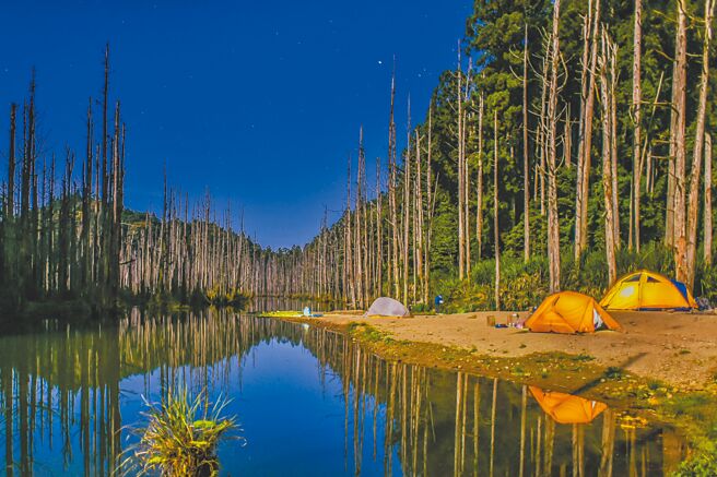 阿里山水漾森林枯木群于水中倒映，造就此一遗世独立的梦幻奇景 。（奥丁丁体验提供）