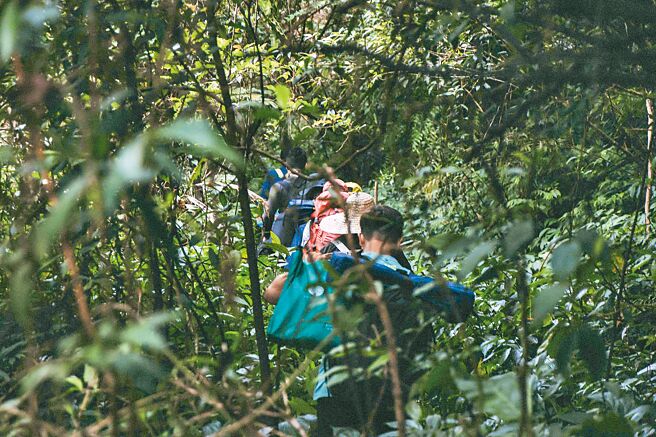 走访宜兰寒溪泰雅猎径，猎人沿途解说生态。（奥丁丁体验提供）