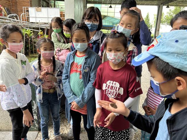 觀光旅遊局舉辦「2022大坑蝶螢嘉年華暨賞螢活動」，小朋友們專注體驗生態之旅。（觀光旅遊局提供）