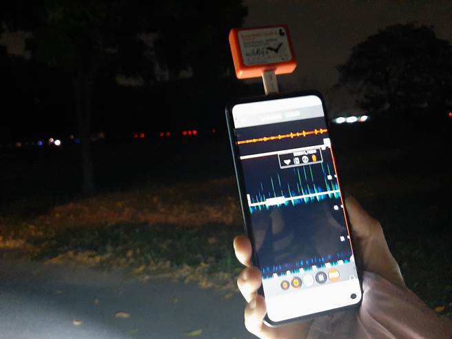 云林县陆域风机持续增加，水林乡黄金蝙蝠馆培育蝙蝠生态探测员。（黄金蝙蝠馆提供／张朝欣云林传真）