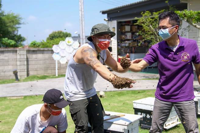 相当害怕蜜蜂的李玖哲鼓起勇气挑战。（三立提供）