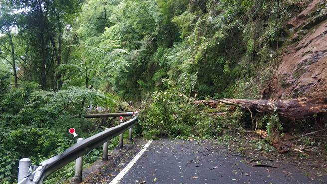 路树倒塌波及附近电线杆，造成荣兴村及梨山部分地区停电。（台电台中区处提供）