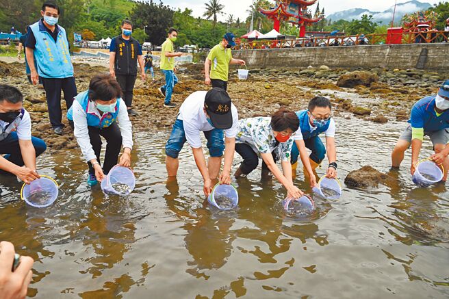 維護環境生態保育及優化水質，台東縣府進行周圍商家汙水管線接管工程，14日完工並舉行2萬4000尾嘉鱲魚苗放流活動。（蔡旻妤攝）