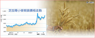 印度突禁小麥出口 價格衝天