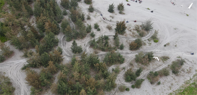 花莲近海近年兴起刺激好玩的沙滩车游憩活动，也让海岸的生态与地貌遭破坏。（花莲县议员杨华美服务处提供／罗亦晽花莲传真）