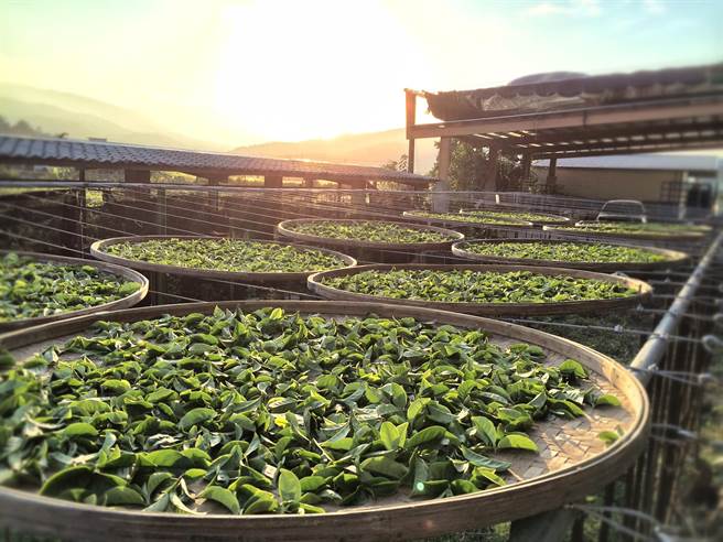 宜兰县冬山乡接手茶行的年轻一代，运用现代化的思维与经营方式，兼顾茶的品质、传承上一代的坚毅刻苦的精神，做异业结盟、彼此行销。（正福茶园提供／吴佩蓉宜兰传真）