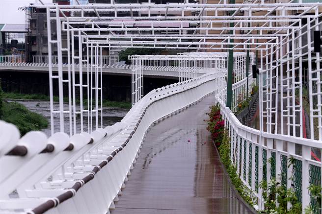 新北市泰山区大窠坑溪改善工程，坚实桥至大窠桥间450公尺的河岸休憩缤纷廊道，让行人不需再面临人车争道，打造人本友善通行空间，沿线也设置花架及种植攀爬植栽，透过不同花色之九重葛形塑缤纷廊道，满足散步民眾观赏及遮荫需求。（黄世麒摄）