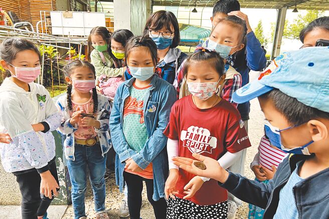 台中市观光旅游局举办「大坑赏蝶活动」，小朋友们专注体验生态之旅。（观光旅游局提供／陈世宗台中传真）